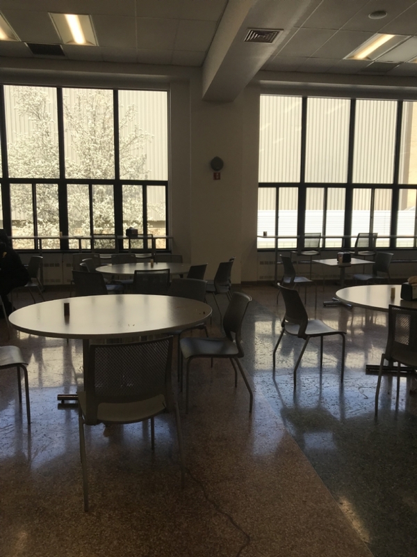 FORDHAM UNIVERSITY - NEW YORK